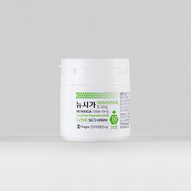 뉴시가정 10mg